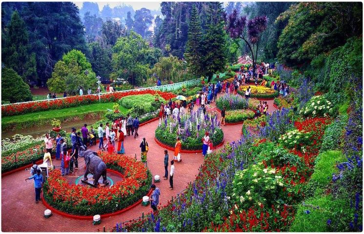 Romantic Ooty Tour