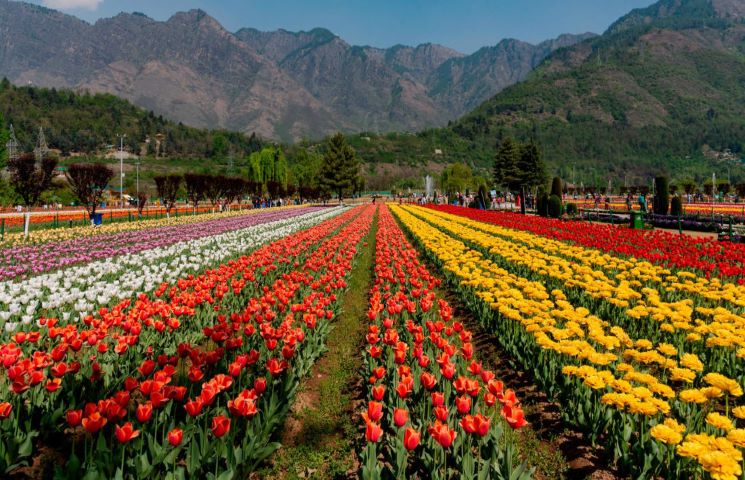 Splendour of Kashmir